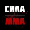 Сила MMA