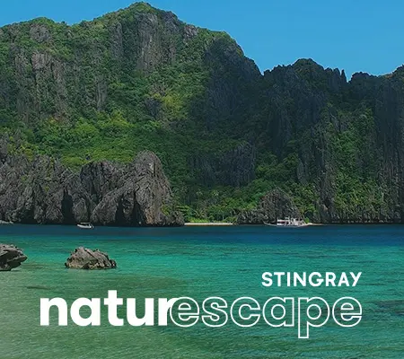 Stingray Naturescape
